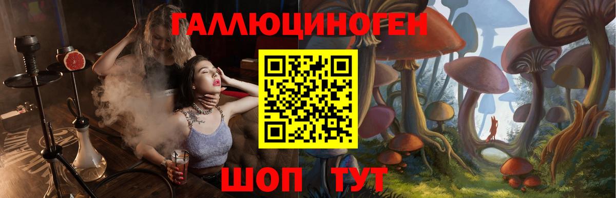 Йошкар-Ола  Галлюциногенные грибы ЛСД  Вход с VPN 