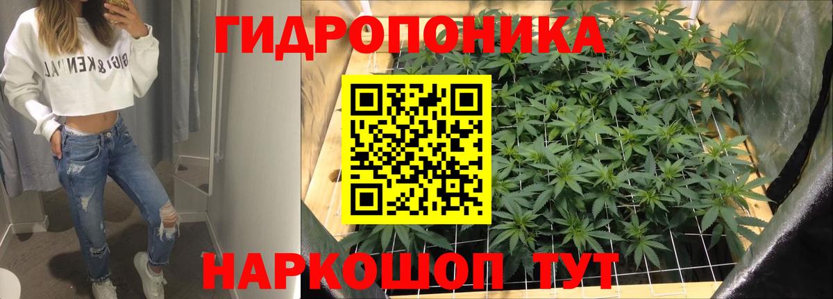 Канабис LSD WEED Йошкар-Ола